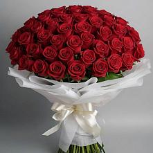 Букет 101 Красная роза Блэк Мэджик в Чегдомыне