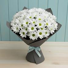 Букет цветов из:  Хризантемы #REPLACE_PRED# Чегдомыне