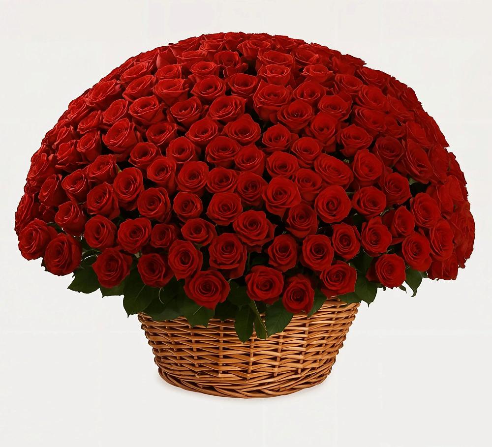 Премиум букет из: Розы в Чегдомыне