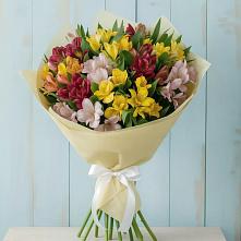 Букет цветов из:  Альстромерии в Чегдомыне