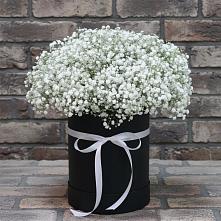 Цветочная композиция из Гипсофила в шляпной коробке #REPLACE_PRED# Чегдомыне